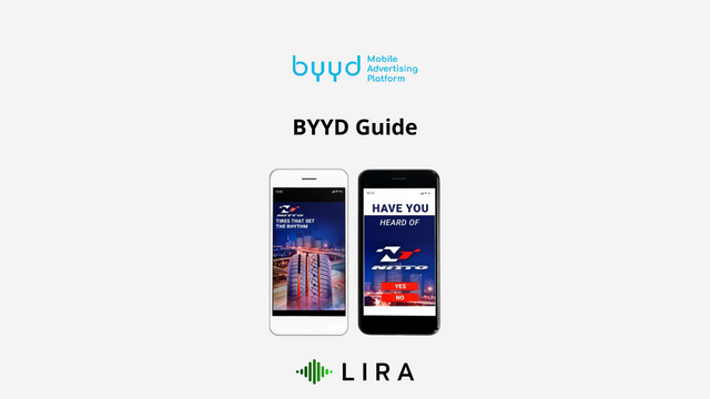 byyd guide.png