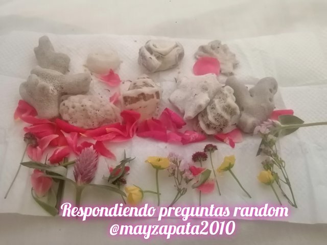 InCollage_20250605_153322910.jpg