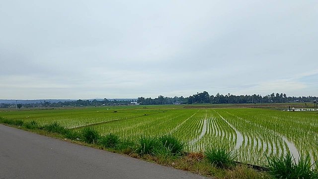 IMG_20250824_085637.jpg