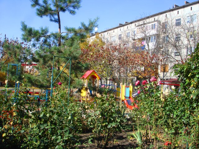 DSC03444.JPG