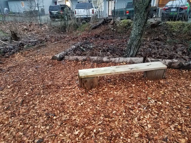 mulched-area.jpg