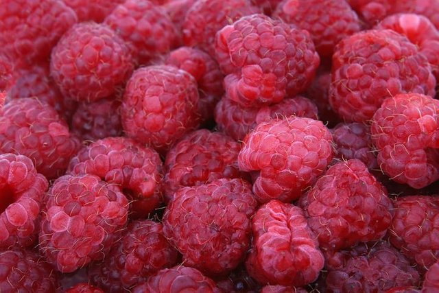 raspberries-1239435__480.jpg