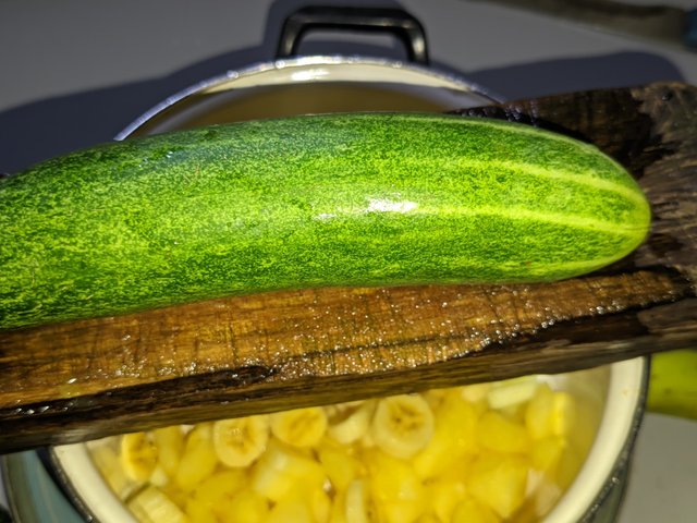 1001025170.jpg