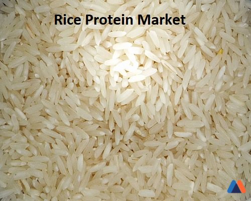 Rice Protein Market.jpg