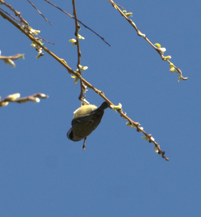 DSC05582-1.jpg