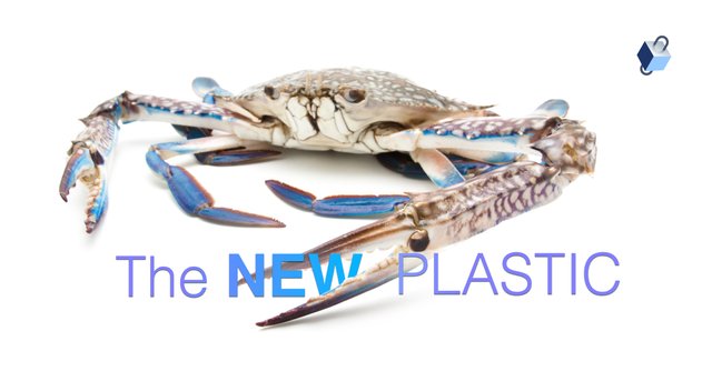 Crab.jpg.jpg