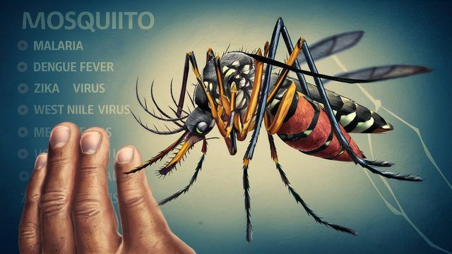 a-striking-illustration-of-a-mosquito-magnified-to-RcmySwZBQ9KpgstfQoVZ4g-S5l-mbqHTQWNdUCqg0dIxA.jpeg