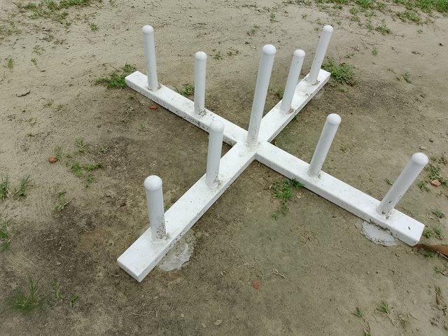 1000035650.jpg