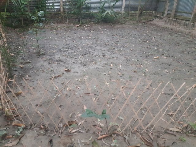 20250413_181910.jpg