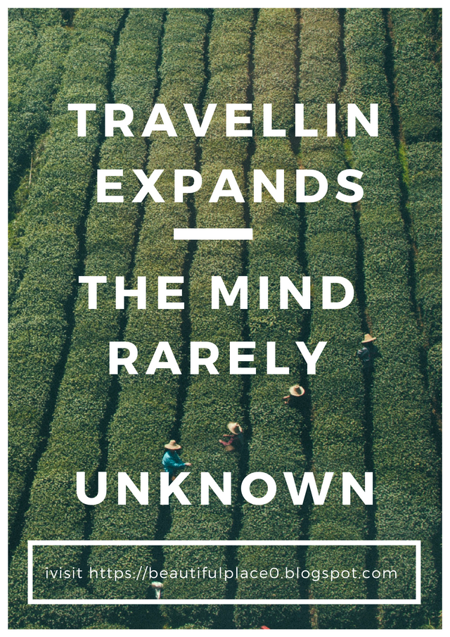 Travelling expands the mind rarely.png