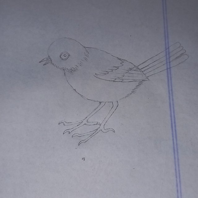 20250924_111853.jpg