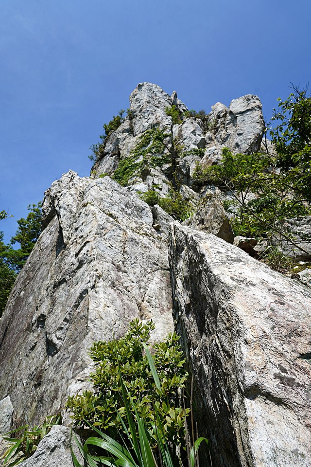 b-DSC08235.JPG