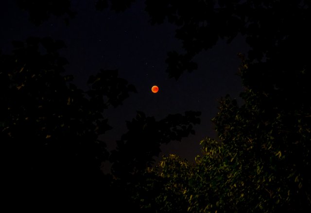 Bloody moon 5.jpg