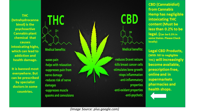 THC - CBD Comparison Chart 11 a.png