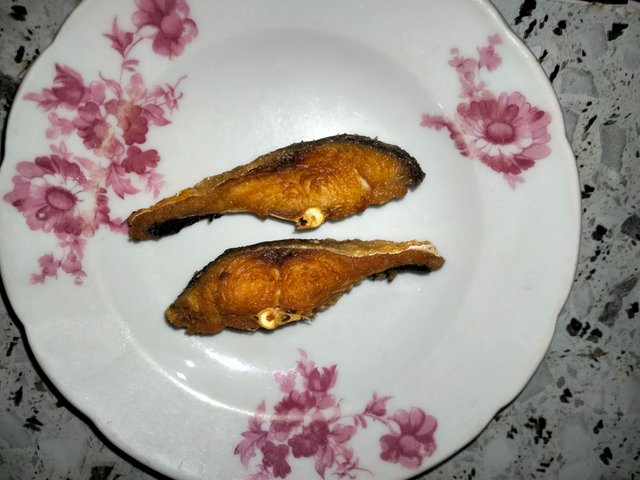 IMG20250513081712.jpg