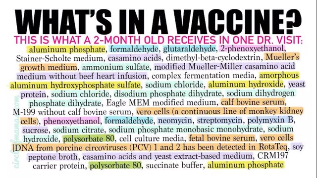 what's inside of a vaccine.jpg