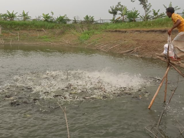 IMG20250501164231.jpg