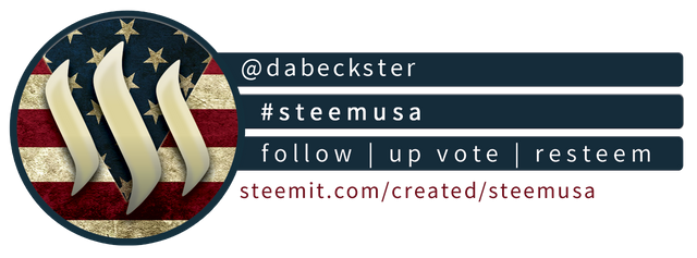 Steem USA Compact Banner