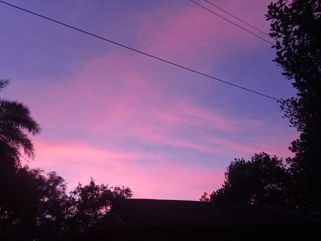 IMG20250825183544.jpg