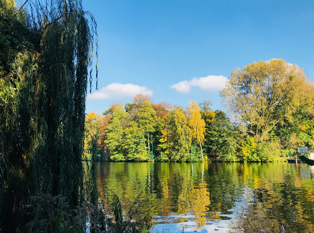 tiergarten.png