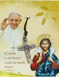 papa francisco como bue pastor.jpeg