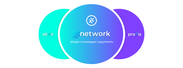 xx-network-venn.header.png