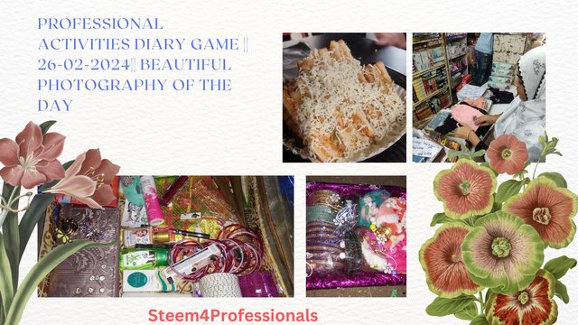 PROFESSIONAL ACTIVITIES DIARY GAME  26-02-2024 BEAUTIFUL PHOTOGRAPHY OF THE DAY.jpg