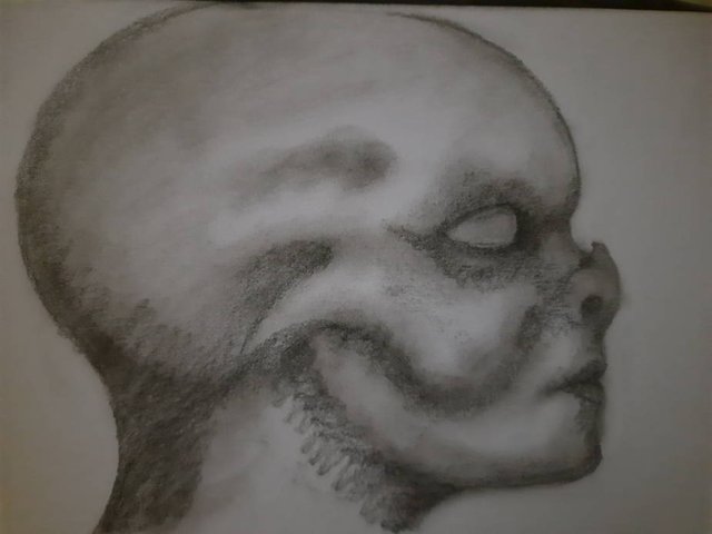 20250727_093424.jpg