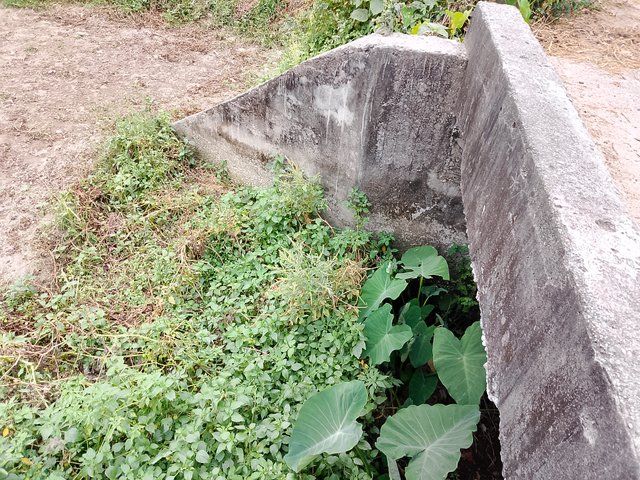 1000041850.jpg