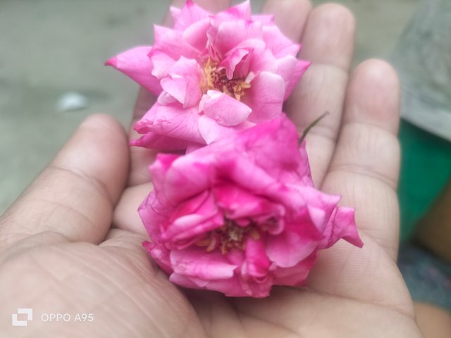 IMG20250321090033.jpg