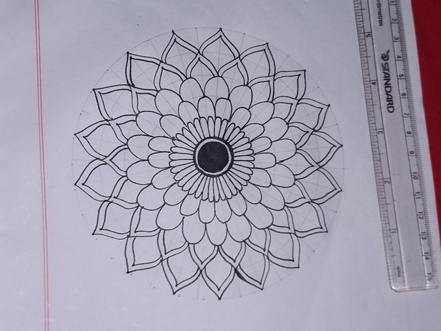 20250601_234309.jpg