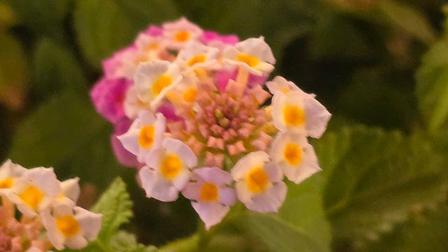 20250403_212046.jpg