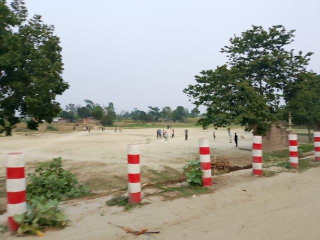 1000037971.jpg
