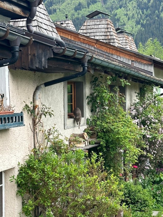 Chamonix-Mont-Blanc6.jpg