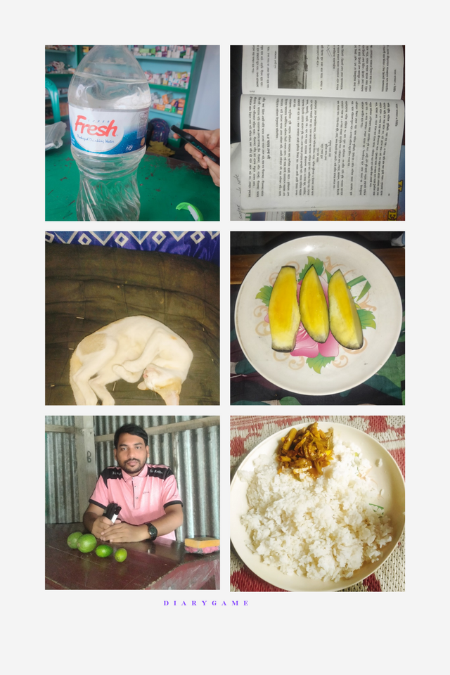 Grey Beige Minimalist Aesthetic Inspiration Moodboard Photo Collage_20250712_162644_0000.png