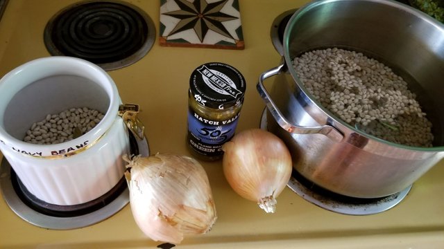 20180729_165725 - Primary Ingredients for Navy bean and green chile soup.jpg