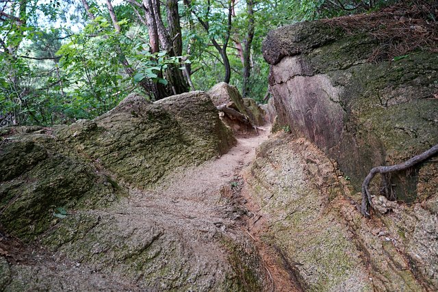 b-250723-084432.jpg