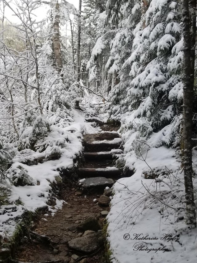 Ammonoosuc Trail w snow.jpg