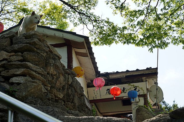 DSC08158.JPG