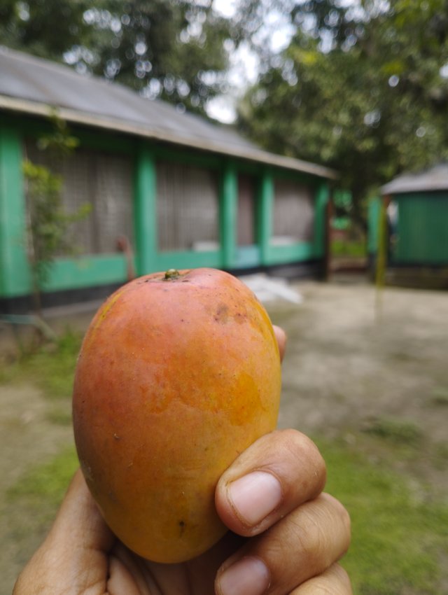 IMG_20250604_135708.jpg