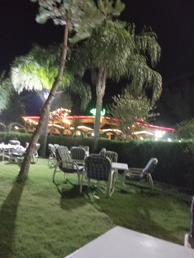 IMG_20250526_214037.jpg