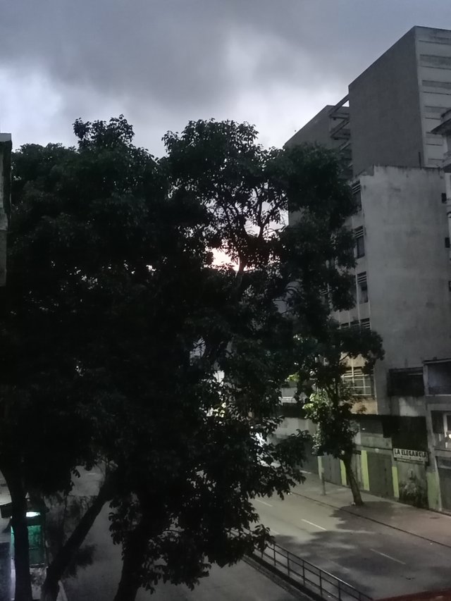 1000782180.jpg
