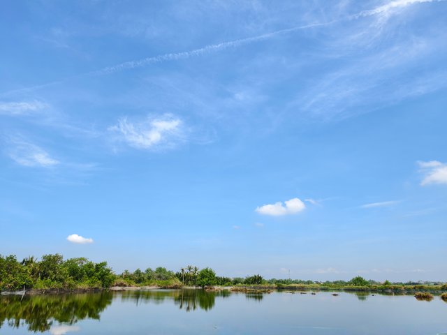 IMG_20250503_052941.jpg
