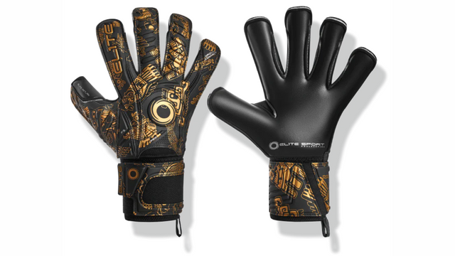 elite aztlan gloves banner.png