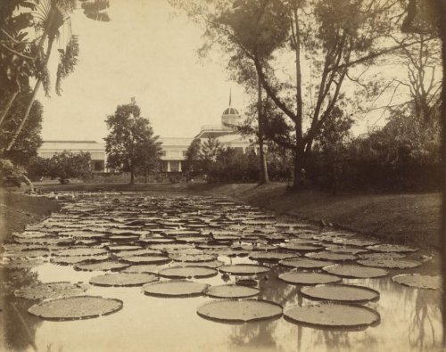 Istana Bogor, 1880. Stoop..jpg