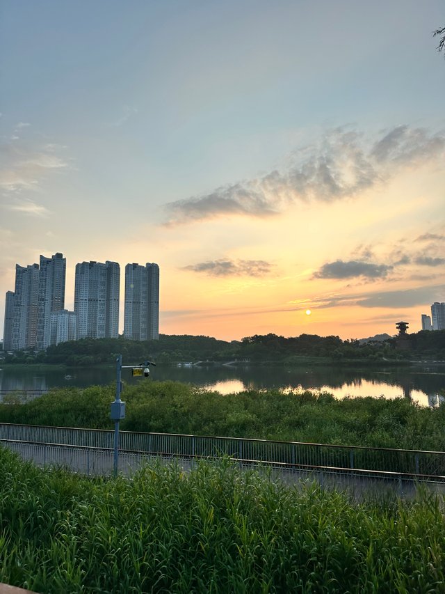 IMG_8297.jpeg