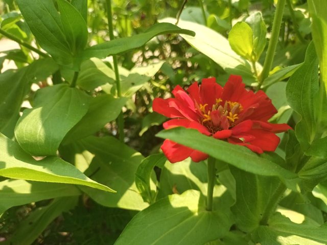 photo_2023-05-08_23-18-44 (4).jpg