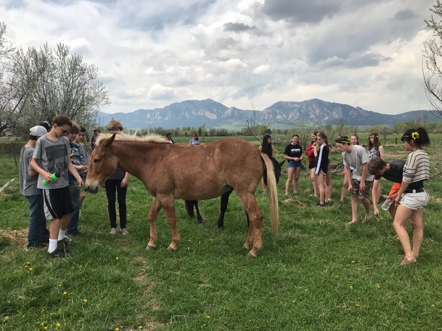 Friar Farms mule.jpg