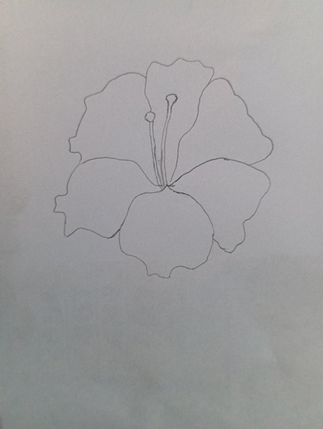 1000078319.jpg