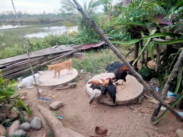 IMG20250618182109.jpg